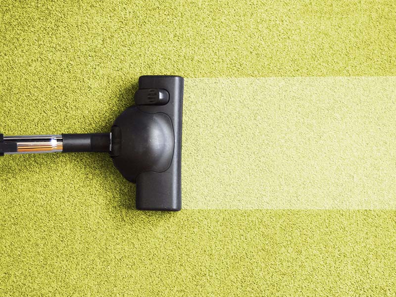 How to protect your carpet throughout the seasons